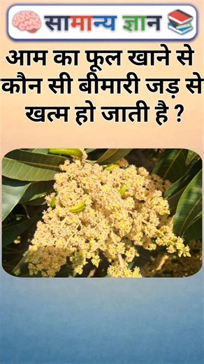 Top 50 ✍️ IAS Question 🔥💯🥰 || GK Question and Answer | #fact #gkfacts #gkinhindi