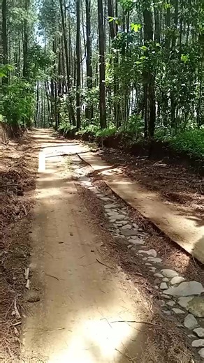 dendeng celeng degleng🫣🤣