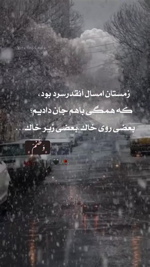 ‎|ویرانه دل|تکست|دل نوشـــتِه|‎ | ‎زمستان امسال سردخانه ای بود ب وسعت وطن🥲🖤 . . . . . . . This viral video captures a man repeatedly attempting to flee a pursuing Belgian...‎ | Instagram