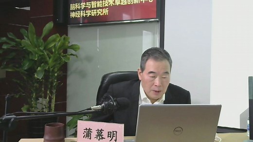 【蒲慕明的课】神经科学的六大难题之5: Neural Circuit Basis of Language