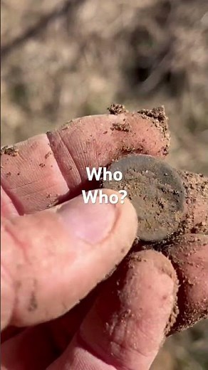 Whooty Whooty Owl? #viral #history #shorts #metaldetecting #funny #fun #shorts #owl #exercise
