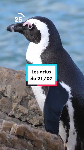 Résumé des actualités du jeudi 21 juillet en 30 secondes