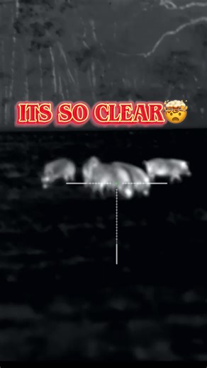 Rico 2 S75R: Best Thermal Imaging Device Review