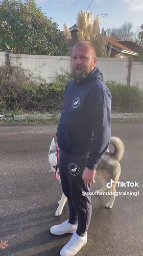 How to Train Your Dog: Pull Up, Not Back