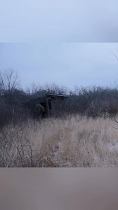 Restoring An Abandoned Cabin in the wilderness 🏡🏚️ | Bonfire 2.0