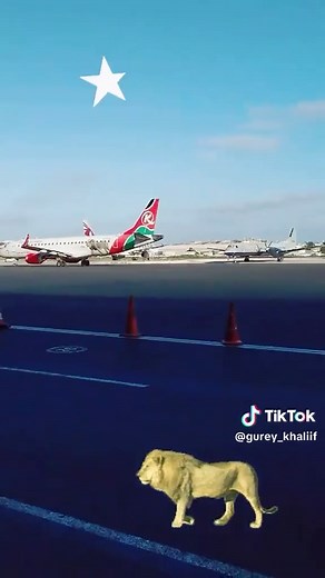 Kenya Airways Embraer E190: MGQ to NBO Flight Experience