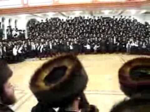 DAF - Der Mussolini (at party video)