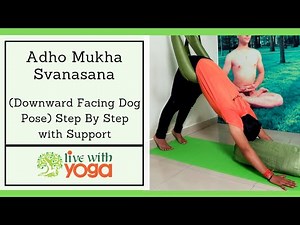 Adho Mukha Svanasana [Step by Step] With Support | Therapy Iyengar Yoga