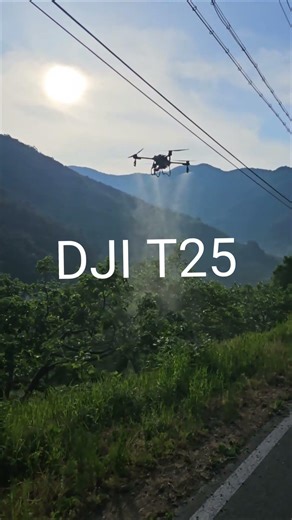 ​🚁 [스마트 농업] 방제 드론으로 감나무 과수원 살충제 완벽 작업 현장! DJI T25