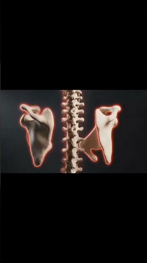 “Inside the Testes | Complete Medical Documentary part 1 short