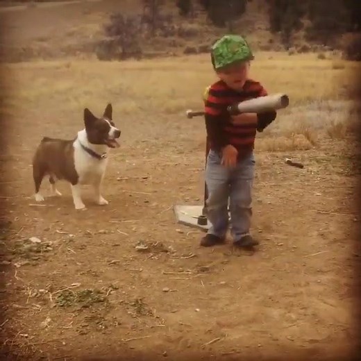 Kid and puppy playing baseball together