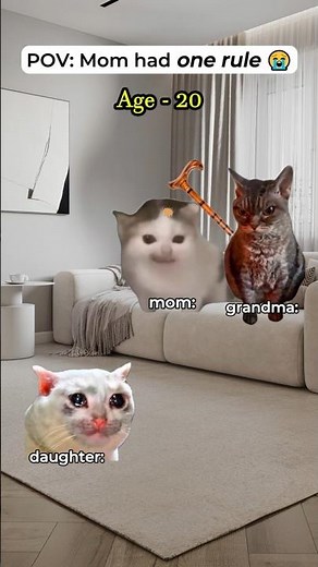Mom Had ONE Rule 😭🐱 #funnycats #catmemes #relatable