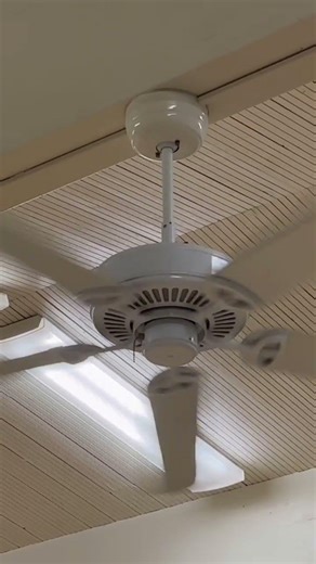 52” Hampton Bay Farmington ceiling fan (2-3, after capacitor replacement) (running on high speed)