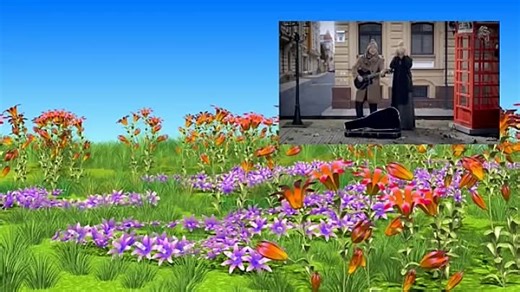 Видео 29 октября 2019 | OK.RU