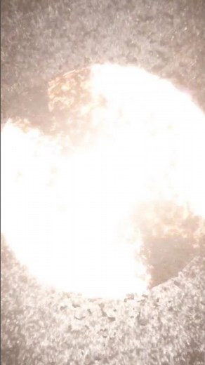 Exploding Pigeon caught on camera#shorts