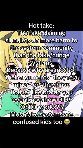 DID Discussion: Understanding the System Community