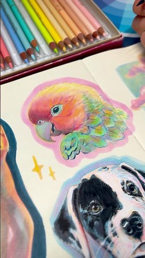 Drawing Process – Rainbow Parrot with Alcohol Markers 🦜