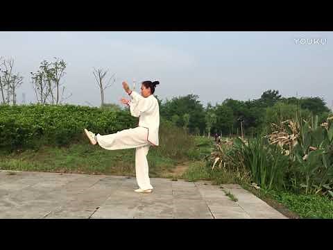 Authentic Wu Style Taijiquan 108 form