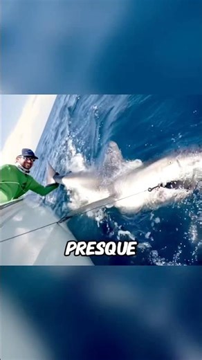 Pêche en haute mer : attaque de requin en direct #fun #fishing #fishboat #fish
