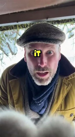 Mother Cat 🐾 Stops Bus ❄️ #ClawCompassion