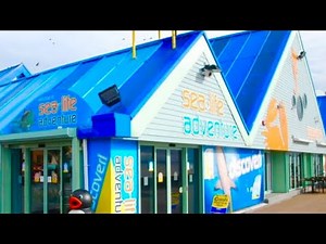 Sealife Adventure - Zooquarium Southend On Sea 🇬🇧