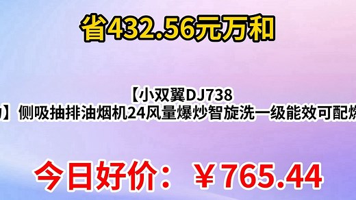 万和（Vanward）【小双翼DJ738 Pro 双腔大吸力】侧吸抽排油烟机24风量爆炒智旋洗一级能效可配燃气灶国家补贴20%