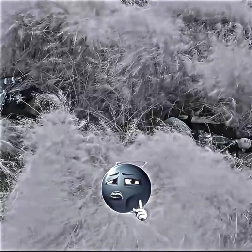 Suho VS Seojun for Seo Do-na 😍🔥 True Beauty Love Triangle Explained! 👀 Team Suho or Team Seojun?