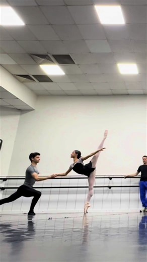 Exploring the Art of Ballet: Dancers in Motion
