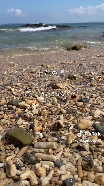 NO.185 1972年に沖縄県で発表された楽曲 #十九の春 #ネーネーズ #歌詞動画 #沖縄の風景