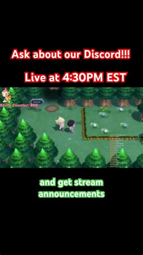 LIVE at 4:30! Shiny Chimchar Hunt + PokeLounge Discord Reveals 👀✨