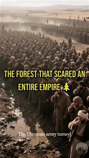 The Forest That Scared An Entire Empire 🌲#vladtheimpaler #dracula #history #ottomanempire