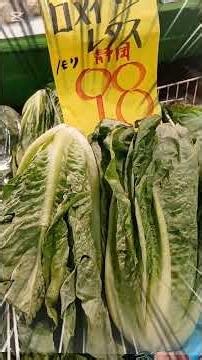 #3-1 Ikeda-cho, Kita-ku, Osaka City, Plala Tenma, a bargain market where you can find anything, a...
