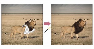 Adobe's Magic Fixup is an AI Cut-and-Paste Photo Editor Trained on Videos