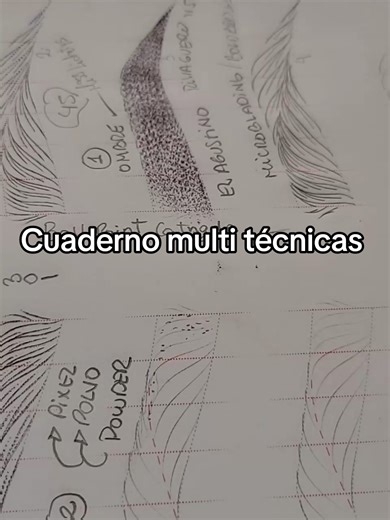 Curso de Microblading: Cuaderno Multi Técnicas