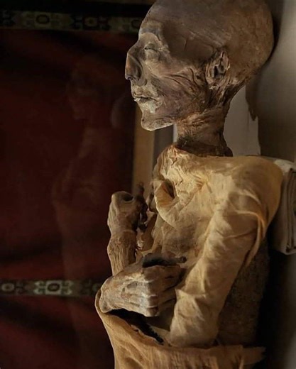 🏛️ The King of Victories: Merenptah Did you know that some of the greatest reigns began at the age of 60? 👑 Meet King Merenptah, the 13th son and great successor of Ramesses the Great. As the fourth ruler of the 19th Dynasty, he proved that age is just a number when it comes to defending the glory of Egypt! ✨ Fast Facts about His Journey: The Reign: He ruled for nearly a decade (1213–1203 BC), stepping into the spotlight after his father’s long era. The Original Tomb: He was originally laid to