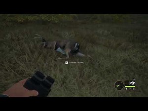 "Hope #2" Mission Guide/ theHunter: Call of the Wild- Layton Lakes