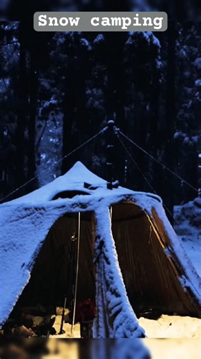 Camping alone in the snow with a heated tent.#camping#snowcamping#wintercamping#bushcraft#survival