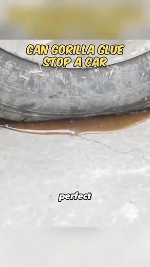 Officialduckstudios on Reels