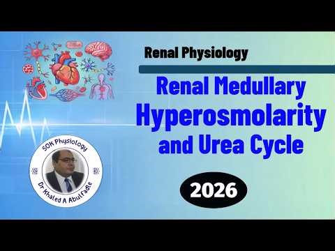 Renal Medullary Hyperosmolarity and Urea Cycle Physiology (2-2026) by Dr Khaled A Abulfadle