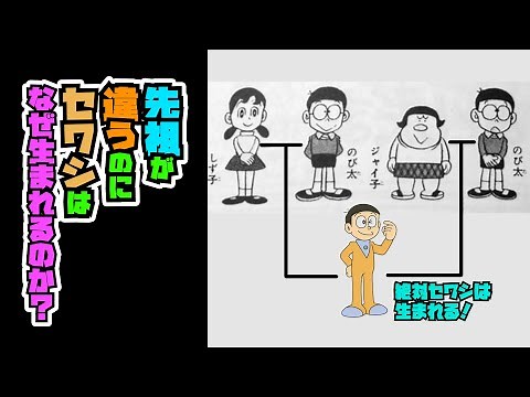 But still, Sewashi is born [Doraemon Trivia]