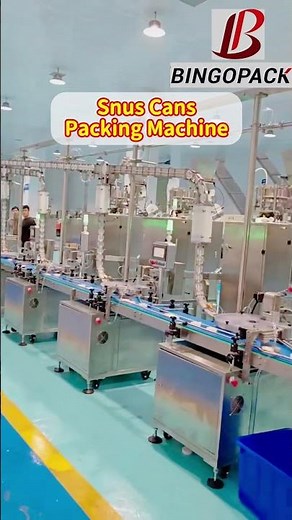 Snus Pouch Packing Machine Manufacturer | Inside Our Factory Tour
