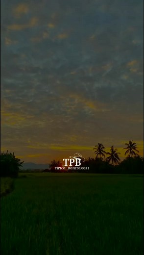 victor bernal culpable soy yo mismo #tipicopanameño #tipico #musicatipicapanameña #victorbernal