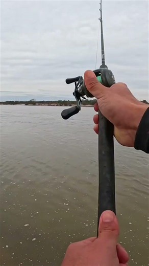 Catfish and Boga fishing in the pools of Termas de Río Hondo #fishing #fish #argentina