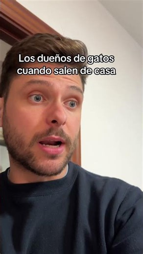 Siempre igual #humor #comedia #gato #armario