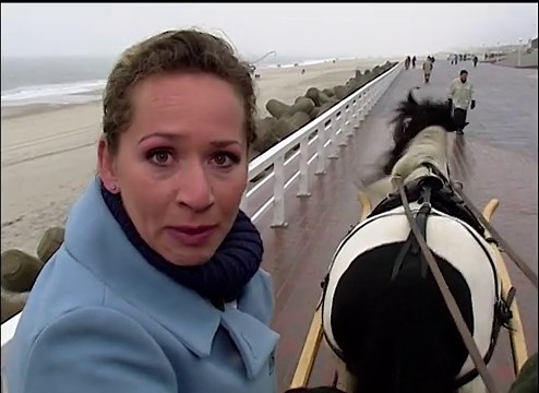 Wunderschön! : Wunderschönes Sylt