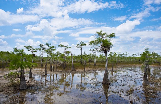 Exploring Florida's Ten Thousand Islands