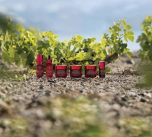 Wine Elixir - elixirul tinereții de la Apivita - Catchy