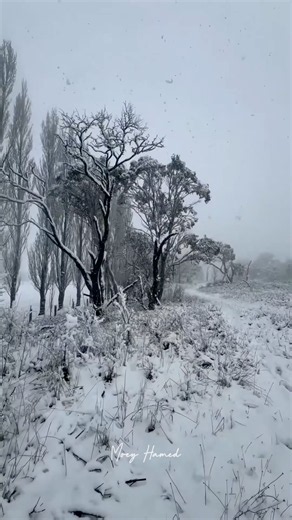 It’s Snowing in Australia Right Now!
