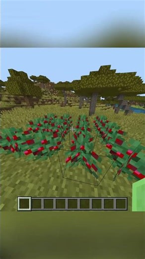 Uses of Berries in Minecraft