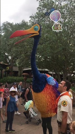 Kevin from the Disney Movie UP! Disney’s Animal Kingdom